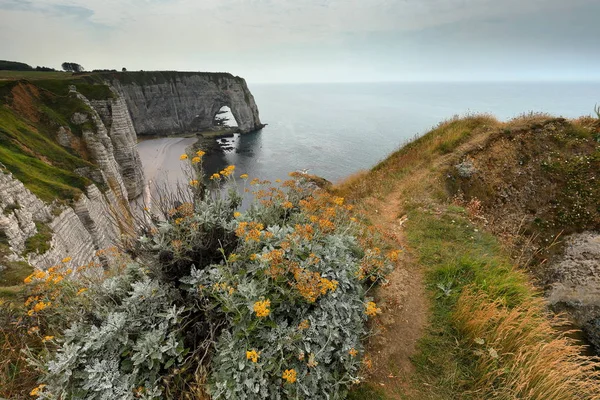 Uçuruma Etretat Normandiya — Stok fotoğraf