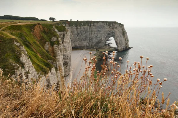 Falésias Etretat Normandia — Fotografia de Stock