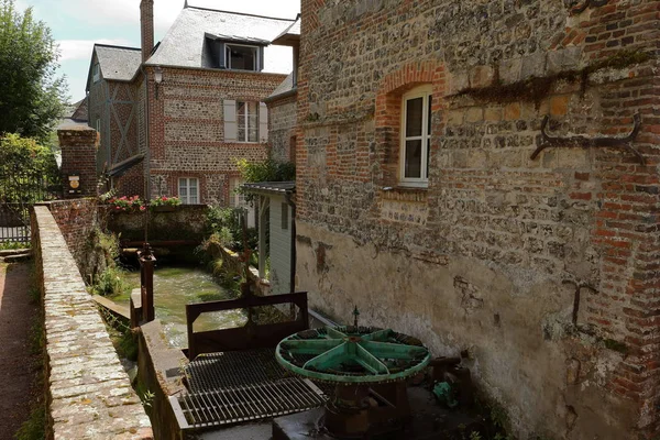Veules Köyü Les Normandy Içinde Gül — Stok fotoğraf