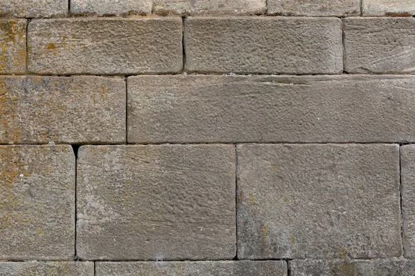 Eine Kalksteinmauer Als Hintergrund — Stockfoto