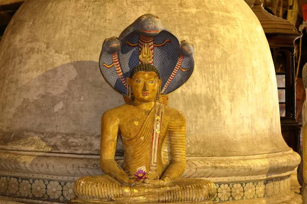 Die Höhlentempel Von Dambulla Sri Lanka — Stockfoto