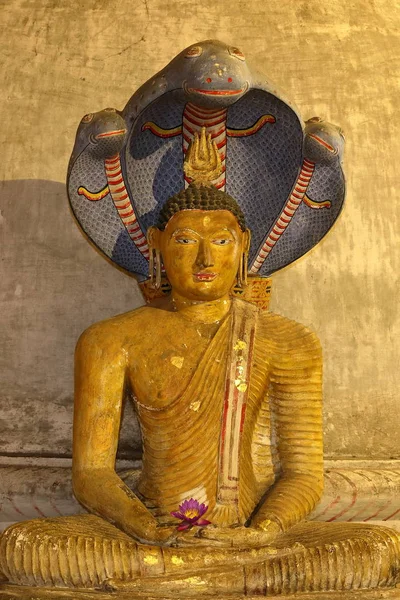 Barlang Templomok Dambulla Srí Lanka — Stock Fotó