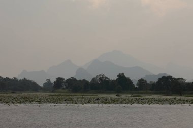 Sri Lanka 'da manzara