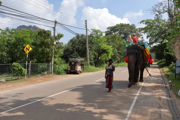 Călărie Elefanți Sri Lanka Decembrie 2017 — Fotografie, imagine de stoc