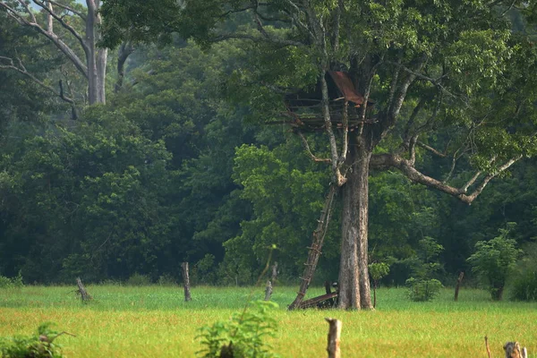 Landscape Nature Sri Lanka — Stock Photo, Image