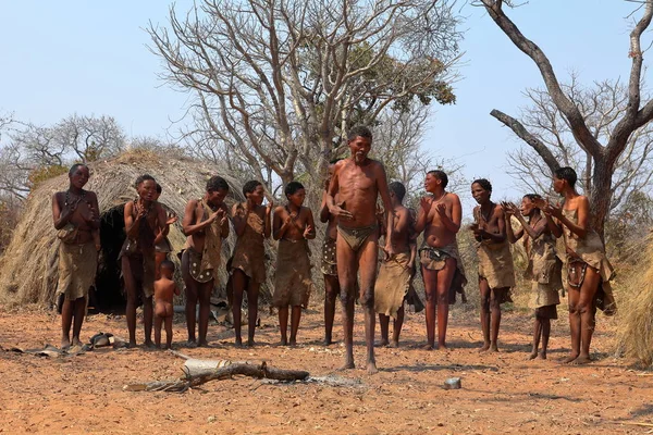 Traditionele Dans Van Het San Namibië September 2012 — Stockfoto