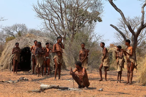 2012 ナミビアのサンの伝統的な踊り — ストック写真