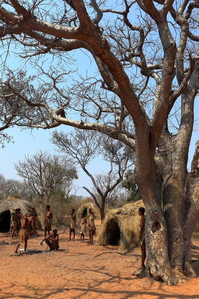 Gente Tribu San Namibia Septiembre 2012 — Foto de Stock