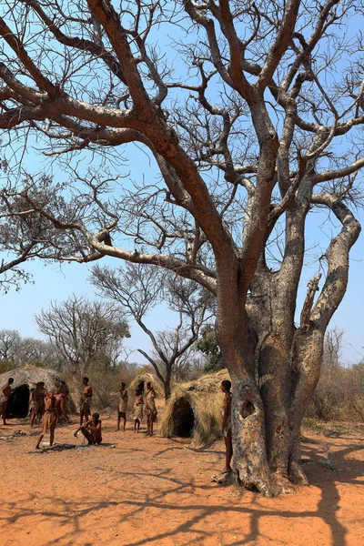 Gente Tribu San Namibia Septiembre 2012 — Foto de Stock