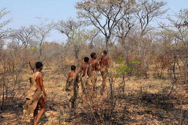 Namibya San Kabile — Stok fotoğraf