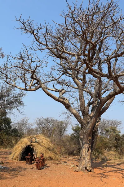 Namibya San Köyü — Stok fotoğraf