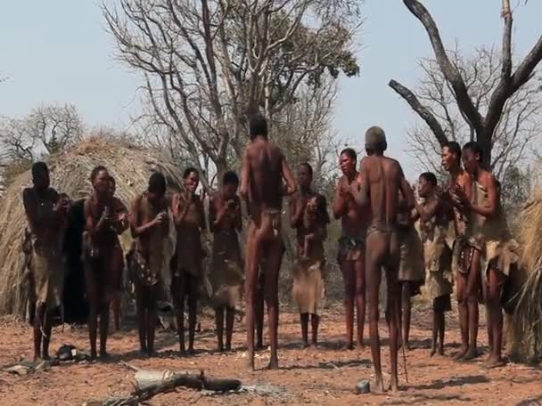 Dança Tradicional San Namíbia Setembro 2012 — Vídeo de Stock