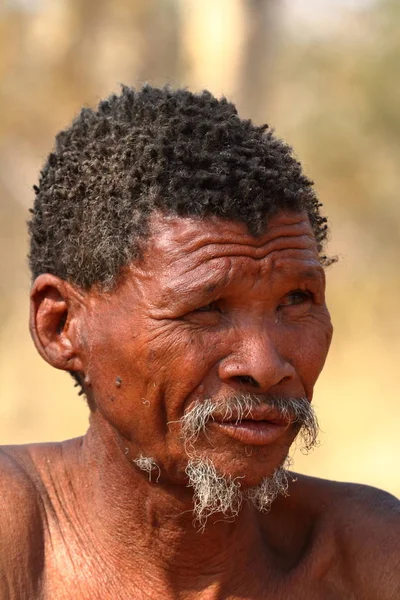 Namibya San Insanlarda — Stok fotoğraf