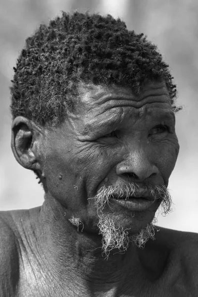 Namibya San Insanlarda — Stok fotoğraf