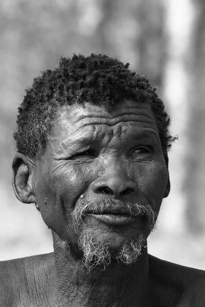 San People Namibia — Stock Photo, Image