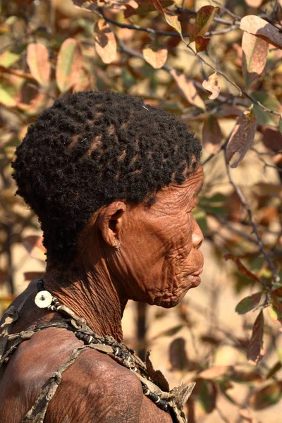 San Людей Намібії — стокове фото