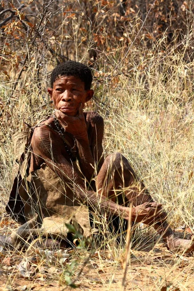 Popolo San Namibia — Foto Stock