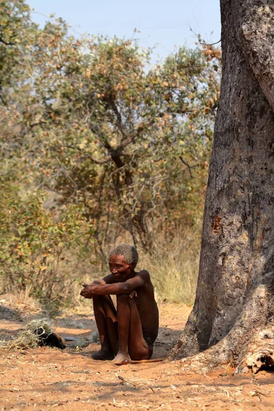 Namibya San Insanlarda — Stok fotoğraf