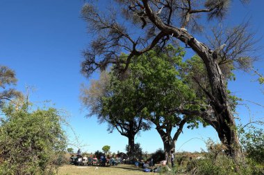 Namibya Okavango Deltası'nda kamp macera