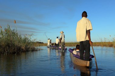 Okavango 'da tekne gezisi. 