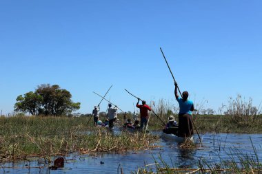 Okavango 'da tekne gezisi. 