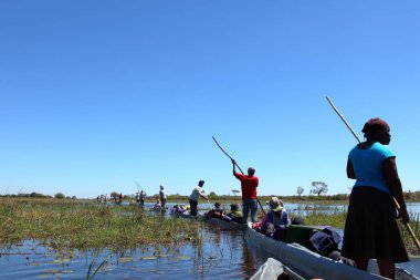 Okavango 'da tekne gezisi. 
