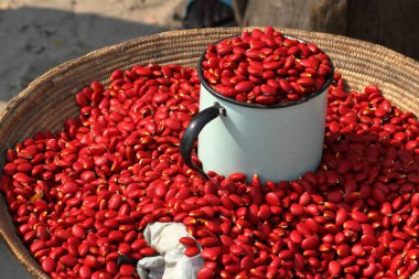 Kırmızı fasulye ve pazarlar ve satış Namibya