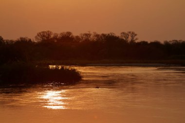Afrika Okavango Deltası'nda günbatımı