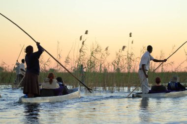 Okavango Botswana'da tekne gezisine