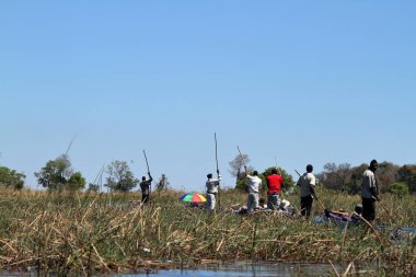 Okavango Botswana'da tekne gezisine