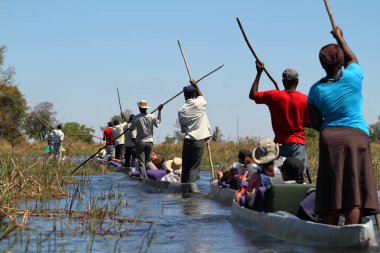 Okavango Botswana'da tekne gezisine