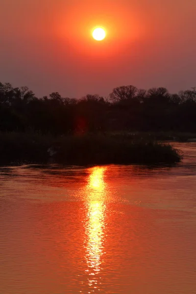 Pôr Sol Delta Okavango África — Fotografia de Stock