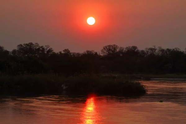 Pôr Sol Delta Okavango África — Fotografia de Stock