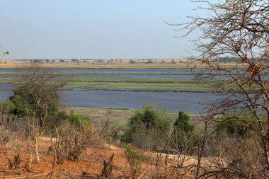 Manzara Botswana'da Okavango Deltası'nda