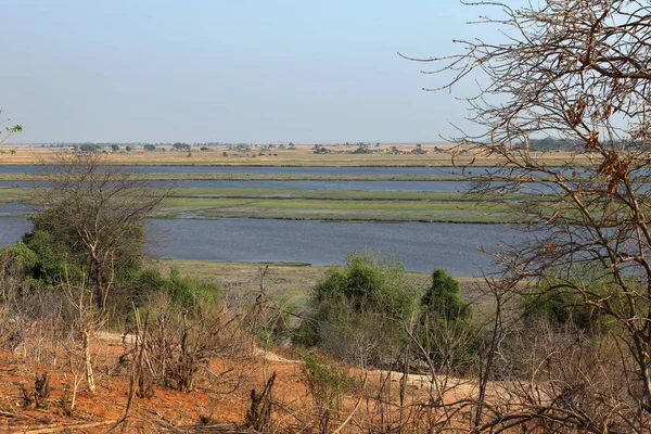 Paysage Dans Delta Okavango Botswana — Photo