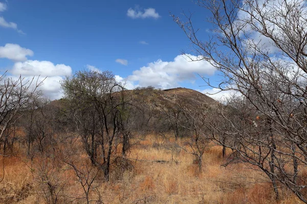 Savanner Och Landskap Zimbabwe — Stockfoto