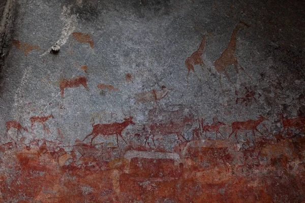 Pinturas Rupestres Parque Nacional Nswatugi Zimbabue —  Fotos de Stock