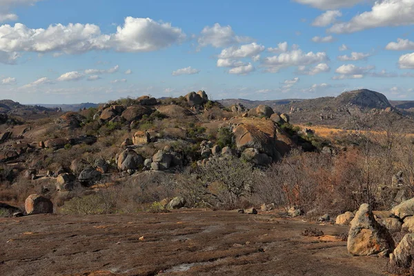 Sawanny Krajobrazy Zimbabwe — Zdjęcie stockowe