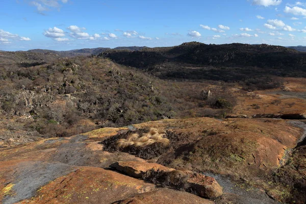 Las Sabanas Paisajes Zimbabue —  Fotos de Stock