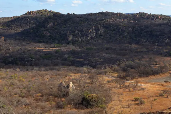 Savannes Landschappen Zimbabwe — Stockfoto