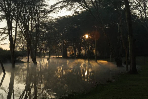 Landschap Bij Lake Nakuru National Park Kenia — Stockfoto