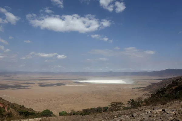 Kráter Ngorongoro Tanzanii — Stock fotografie