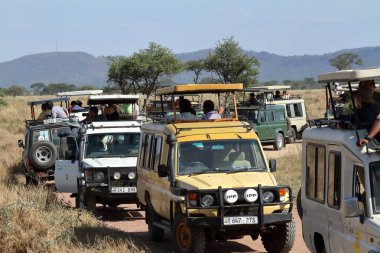 Foto safari Tanzanya Serengeti 05 turist. Ekim 2012