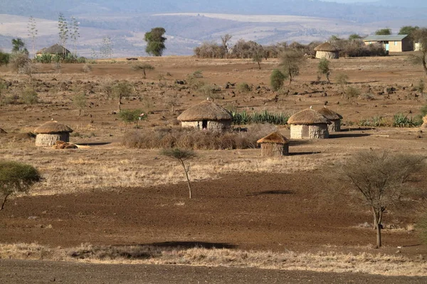 Pueblo Los Massai Serengeti — Foto de Stock