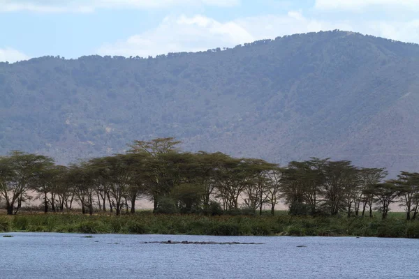 Lake Ngorongoro Crater Tanzania — Stock Photo, Image