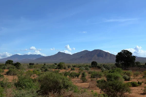 Природа Краєвиди Танзанії — стокове фото