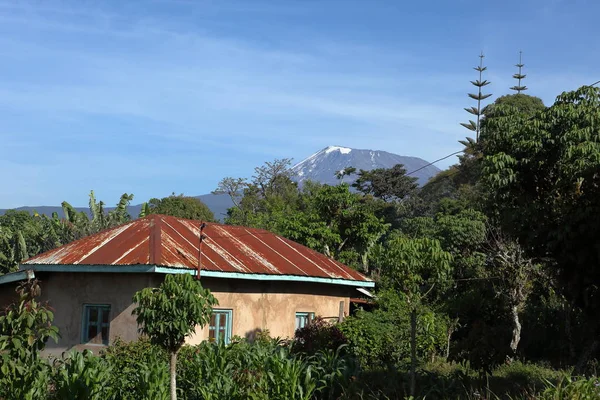 Kilimanjaro Tanzânia — Fotografia de Stock