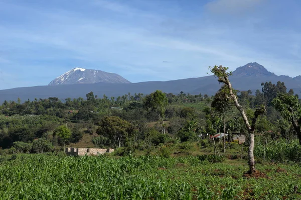 Kilimanjaro Tanzania — Foto de Stock