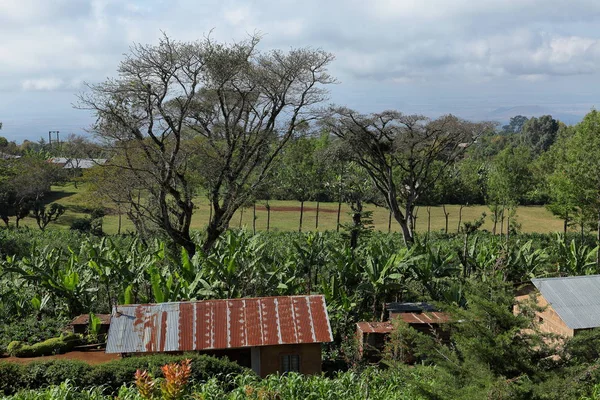 Agricultura Pueblos Tanzania — Foto de Stock