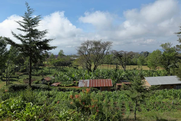 Agricultura Aldeias Tanzânia — Fotografia de Stock